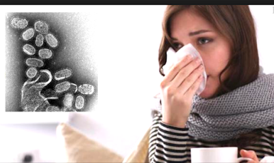Cara Mengobati Flu Tanpa Obat Kimia Cepat Sembuh Dalam Sehari Saja