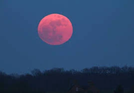 গোলাপি চাঁদ পিকচার - গোলাপি চাঁদ ছবি - গোলাপি চাঁদ পিকচার  - গোলাপি চাঁদ ফটো -pink moon pic - insightflowblog.com - Image no 13