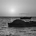 Guns of Barisal/Barisal Guns