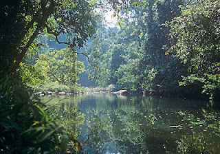 Thai National Forests (Natural Tourism Of The World)