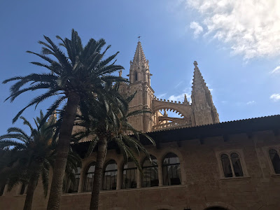 palm trees and the cathedral in palma under a blue sky