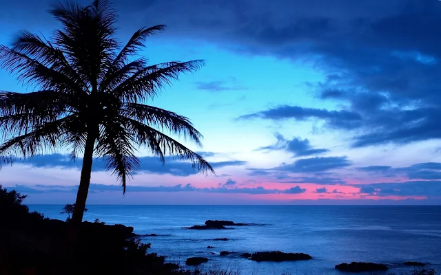 Wallpaper Hawaii, Beautiful, Beach, Scenery