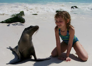 anjing laut Galapagos