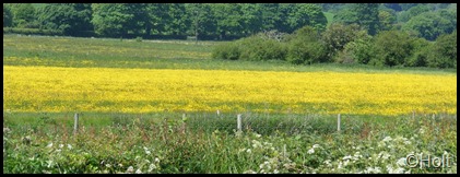 DSCF9376