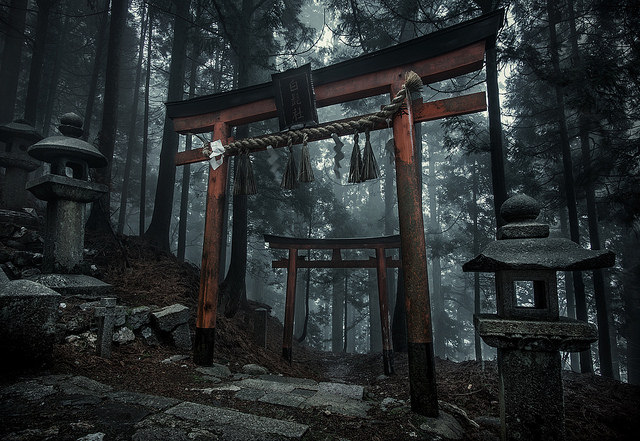 日本的な暗さを写しだした写真 畏れを感じる A ミライノシテン