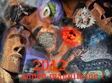 BONNE ANNEE 2012 !