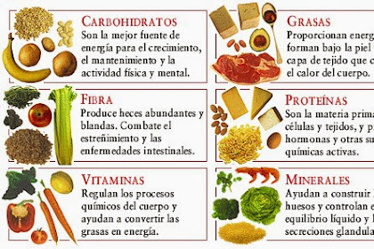 Los Nutrientes De Los Alimentos Para Niños De Primaria