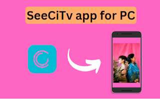 SeeCiTV app for PC