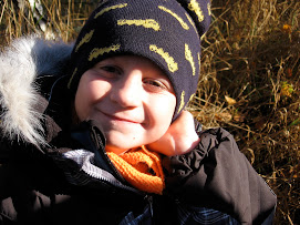 Storebror N i skogen
