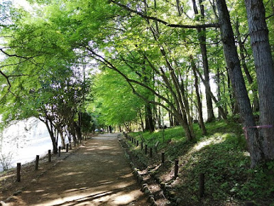 うつのみや ろまんちっく村