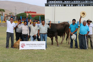 Entrega de toros en Ite