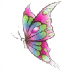 boboleta
