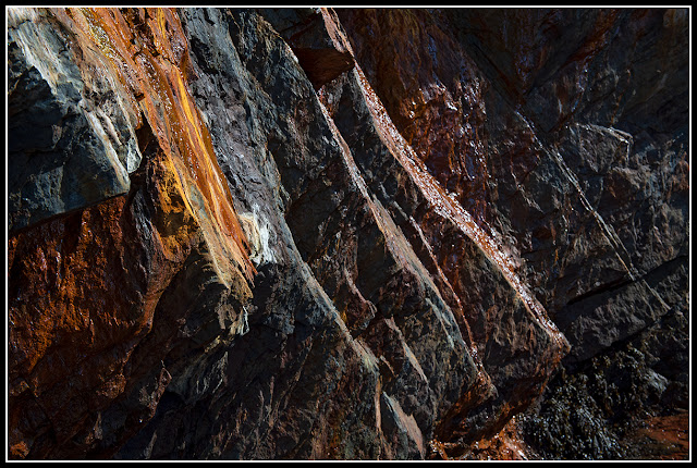 Gaff Point; Nova Scotia