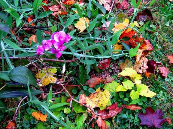 clip_image020[4]