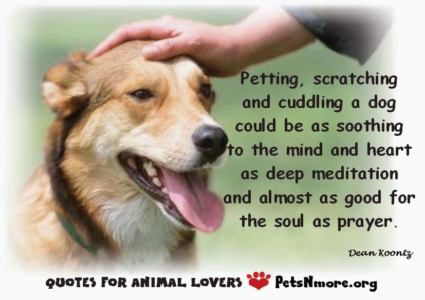 quotes about loving animals