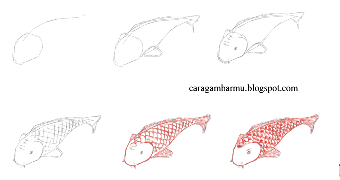  Cara dan Teknik Menggambar untuk Pemula cara menggambar ikan 