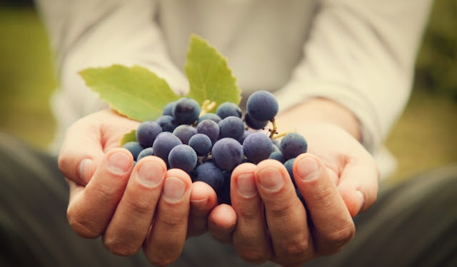 5 Manfaat Buah Anggur Untuk Kesehatan Tubuh Dan Kulit Wajah