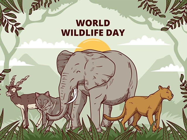 3rd MARCH - WORLD WILDLIFE DAY 2024 / உலக வனவிலங்கு தினம் 2024