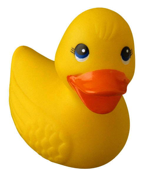 Yellow Rubber Ducks: A Display