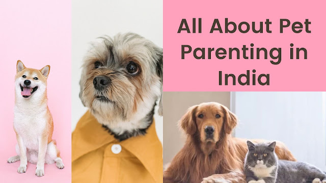 All about Pet Parenting in India (Hindi)