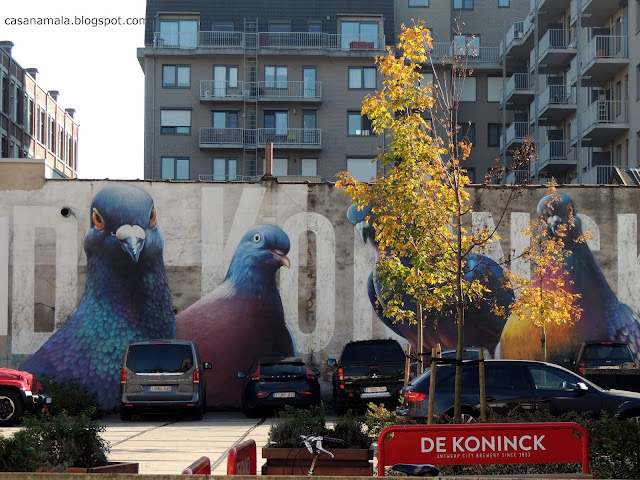 Estacionamento Visita Interativa De Koninck