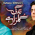 Zindagi Gulzar Hai Watch All Episodes