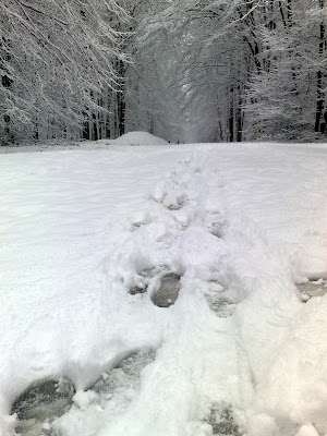 snow, tracks