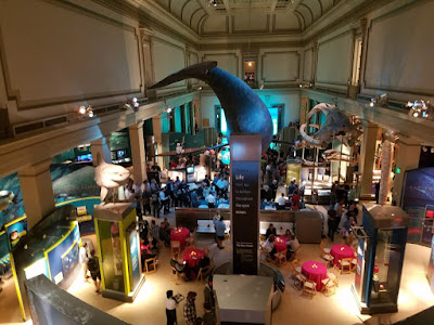 Drinking beer at Smithsonian Natural History