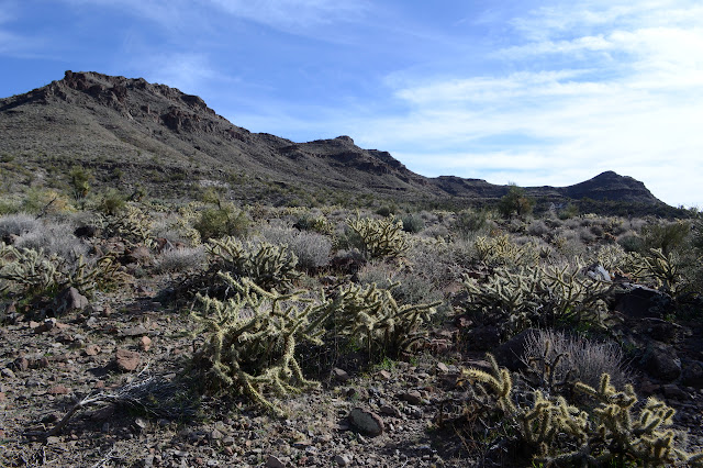 back side of the long fingers of canyon