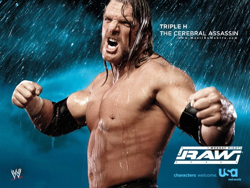 wallpaper wwe. free wwe wallpapers. free wwe