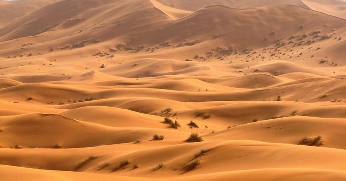 Apa Gurun Pasir yang Paling Luas di Dunia? | Belajar Sampai Mati
