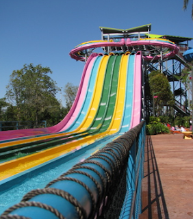 Sea World Aquatica Dolphin Plunge