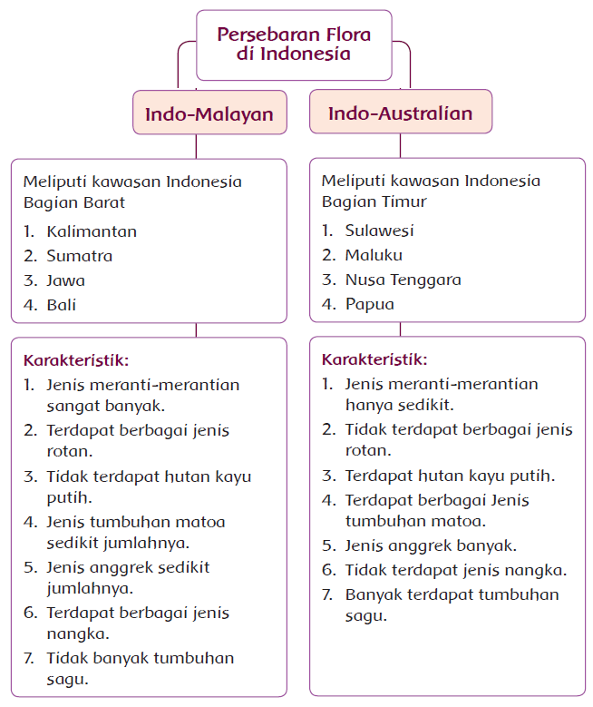 Unduh 840 Gambar Flora Dan Fauna Kelas 7 Paling Baru 