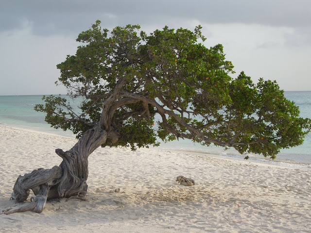 Eagle Beach