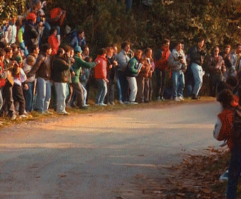tumblr_1e02d649deb4ad79f8174e1d81c83faa_271c9e67_400.gif