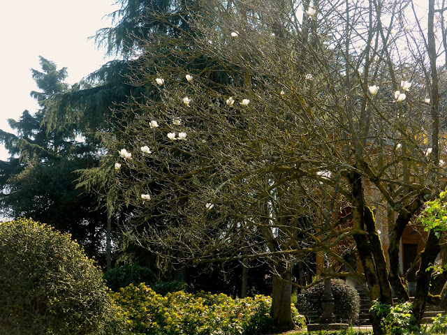 Villa-Aldrovandi-Mazzacorati-Bologna 