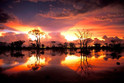 Namibia safari