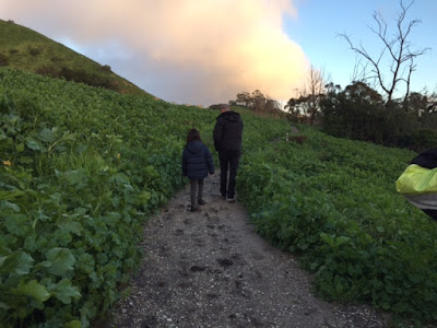 family hike through rainy palos verdes