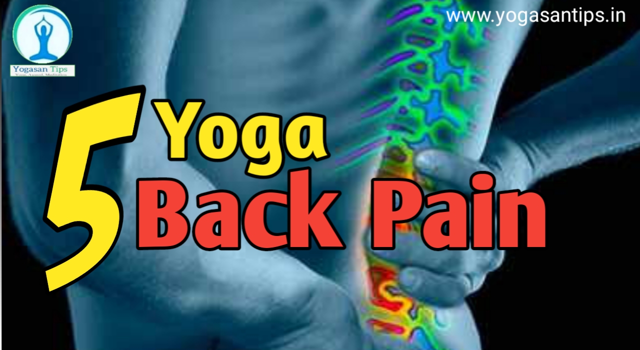 Back Pain - यह 5 आसन दिलाएंगे कमर के दर्द से छुटकारा