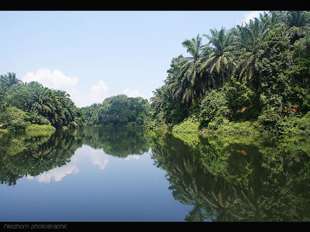 Peace at Tasik Kenyir picture