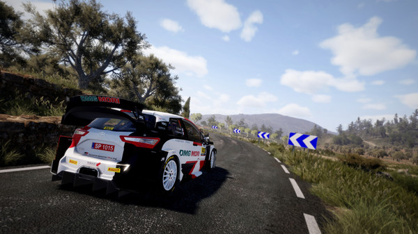 WRC 10 Cross Platform Play