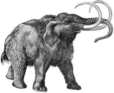 From Mastodon, Mammoth, and Man by John Patterson MacLean, 1878