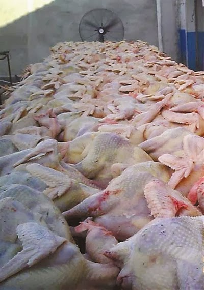 The slaughterhouse can sell 1000 of these fake birds per day
