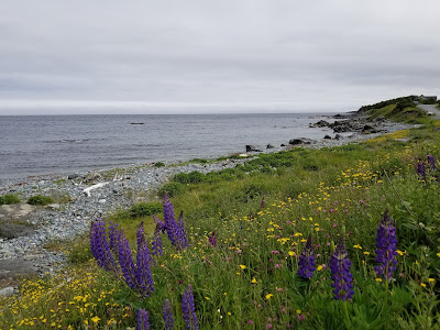 Great Trail Atlantic and Newfoundland coast.