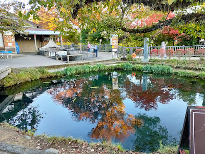 忍野八海