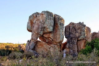 Elephant Rock di Cederberg, Namibia