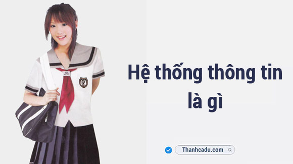 vai-tro-he-thong-thong-tin-la-gi