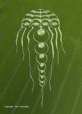 100 foto crop circle - www.pictsel.co.cc