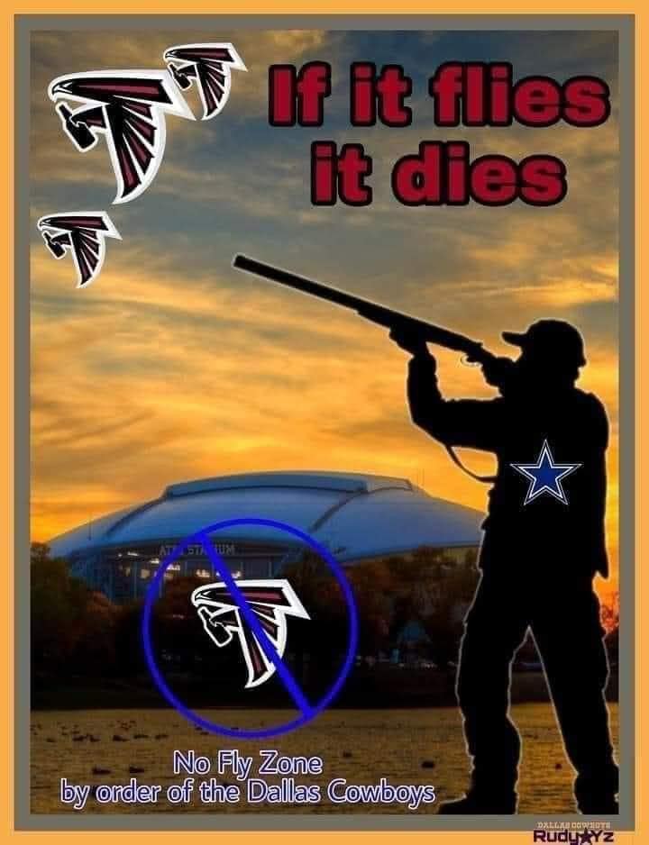 If it flies, it dies. No Fly Zone by order of the dallas cowboys