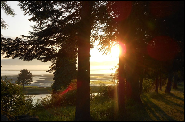 samish_thumb3